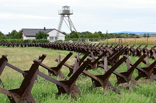 Fotografie