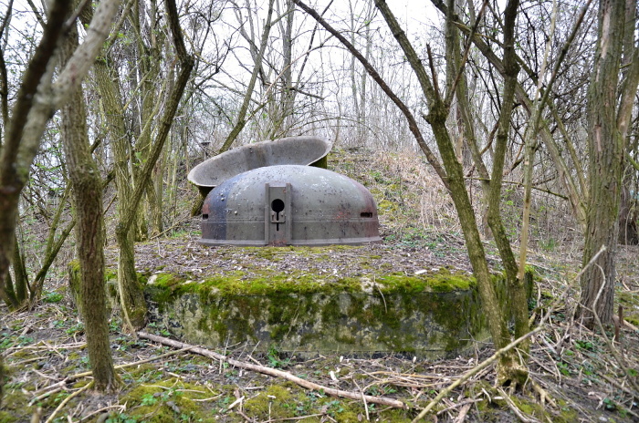 Hollern