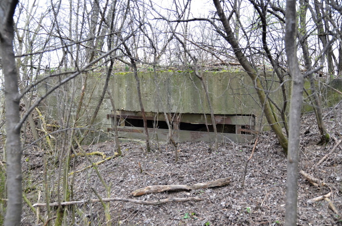 Türkenschanze (TÜ)