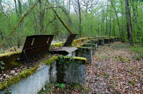 Fort