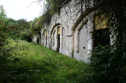 Fort