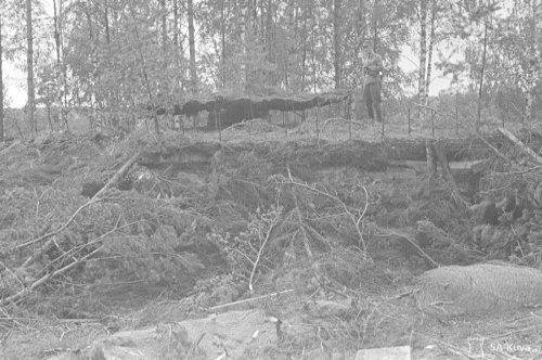 Fotografie