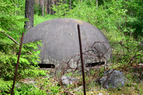 Vitsjön - sever