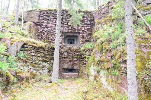 Ylä-Pihlaja - sever