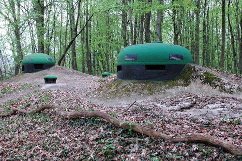 Tvrz Bois de Bousse (PO)
