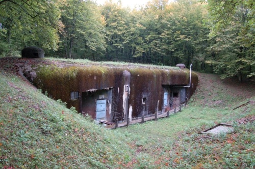 Bois de Cattenom
