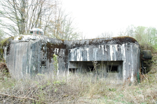 Fotografie