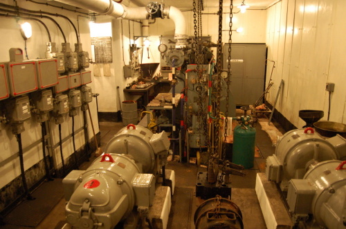 Fotografie