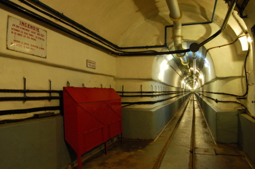 Fotografie