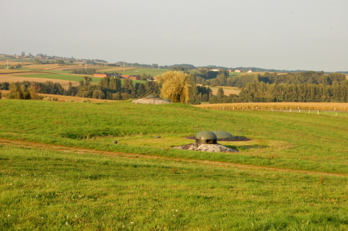 Fotografie