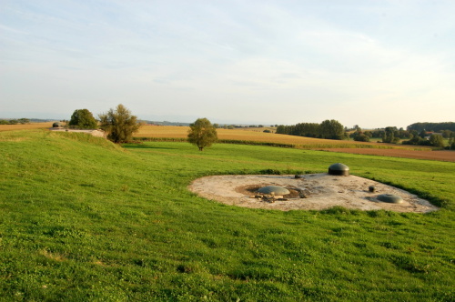 Fotografie