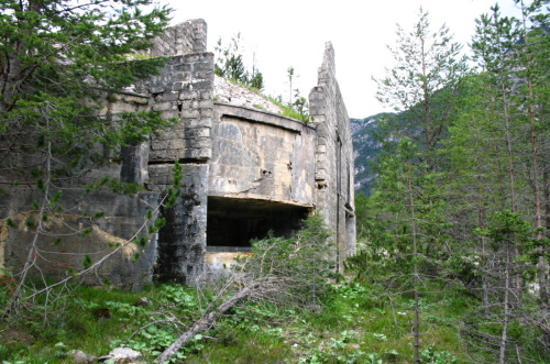 Fotografie
