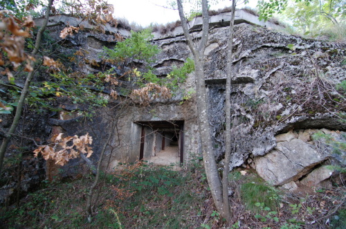 Fotografie