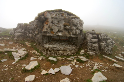 Fotografie