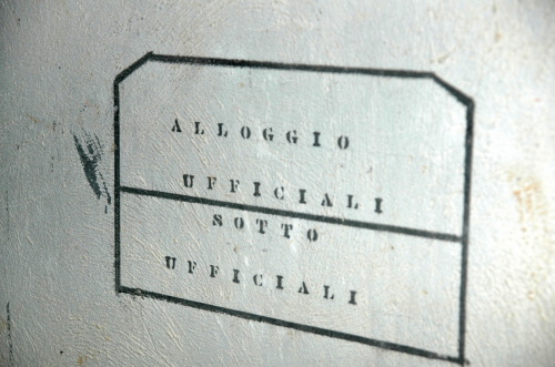 Fotografie