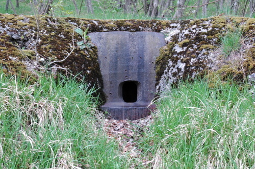 Židovje