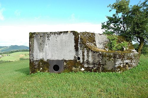 Fotografie