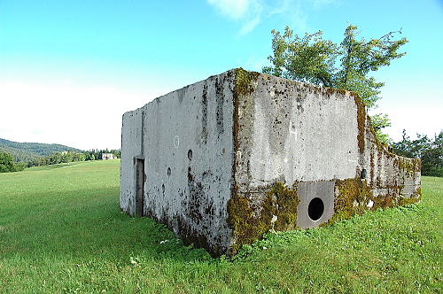 Fotografie