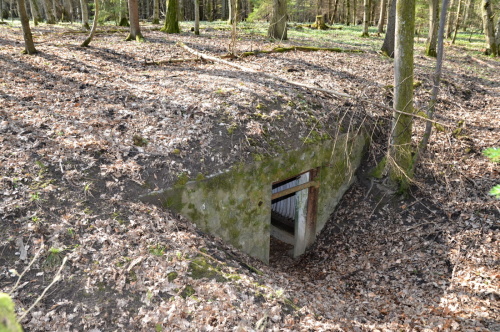 Fotografie