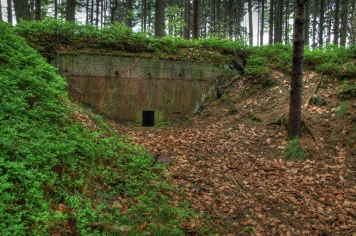 Bayerisch-Tschechische Grenzstellung - A1 - Ahornberg