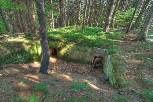 Bayerisch-Tschechische Grenzstellung - A1 - Ahornberg