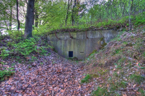 Bayerisch-Tschechische Grenzstellung