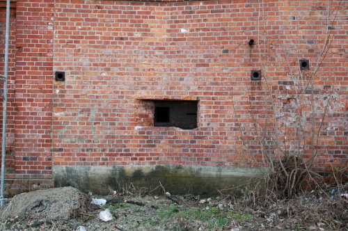 Fotografie