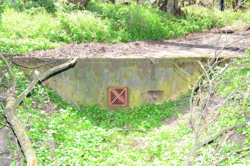 Glogow