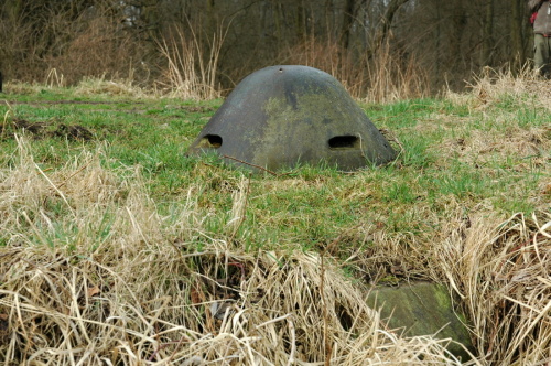 Fotografie