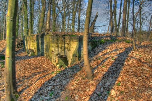 Fotografie