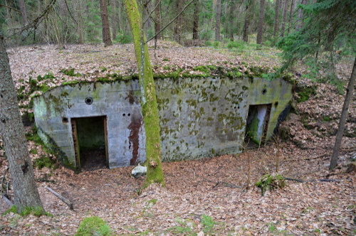 Ortelsburger Waldstellung