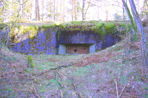 Grenzstellung