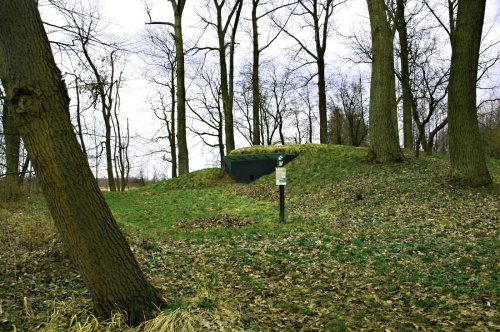 Fotografie