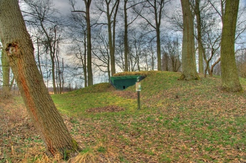 Fotografie