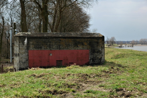 Fotografie