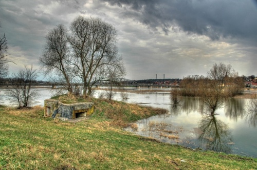 Fotografie