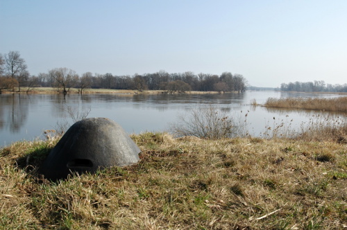 Fotografie