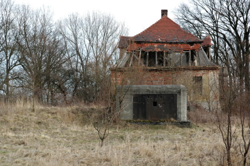 Fotografie