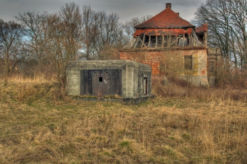 Fotografie