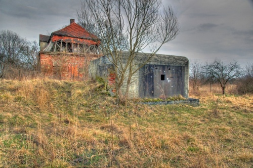 Fotografie