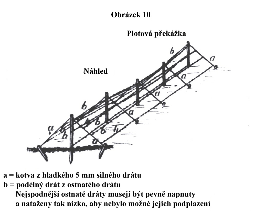 Obrázek 10