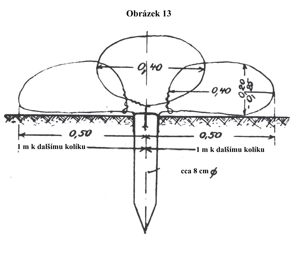 Obrázek 13