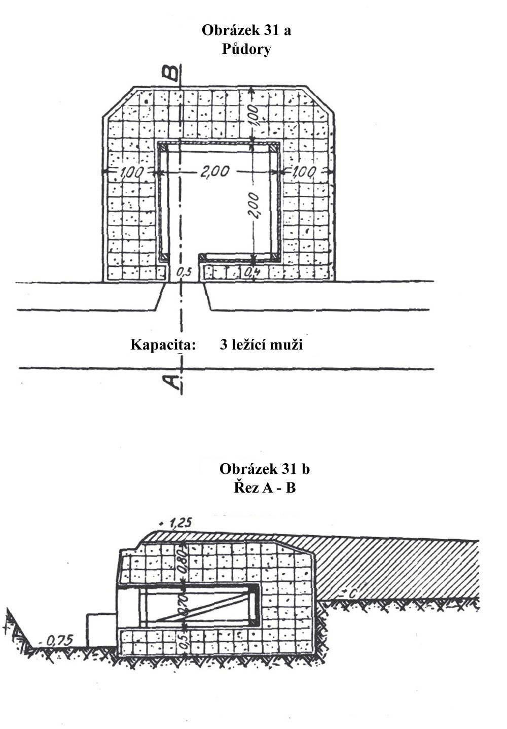 Obrázek 31 a-b