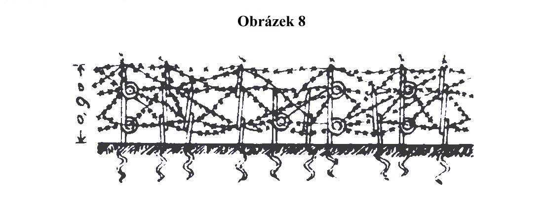 Obrázek 8