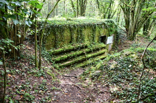 Severní fronta