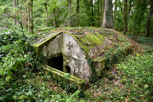 Fotografie