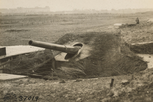 Fotografie