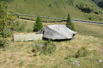 Dělostřelecká tvrz Foppa Grande (A8730)