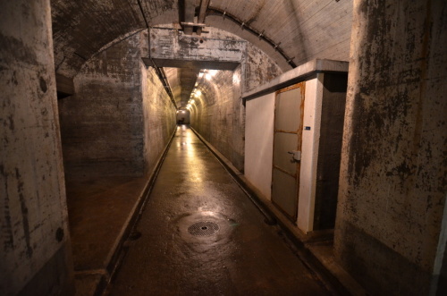 Fotografie