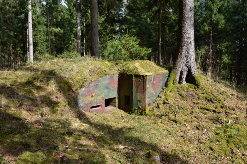 Fotografie